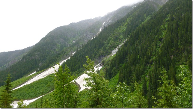 Alaska June 30 11 - Revelstoke to Hinton (9)