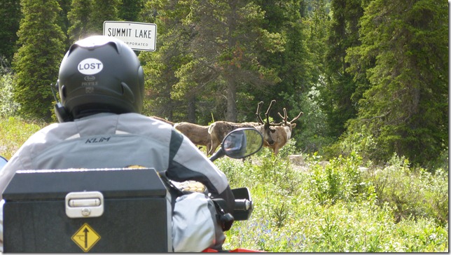 Alaska DC to Toad River (36)