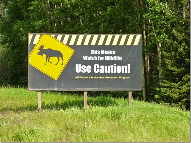 Alaska DC to Toad River (4)