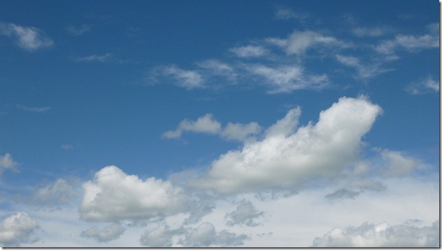 Alaska July 1 2011 (15)