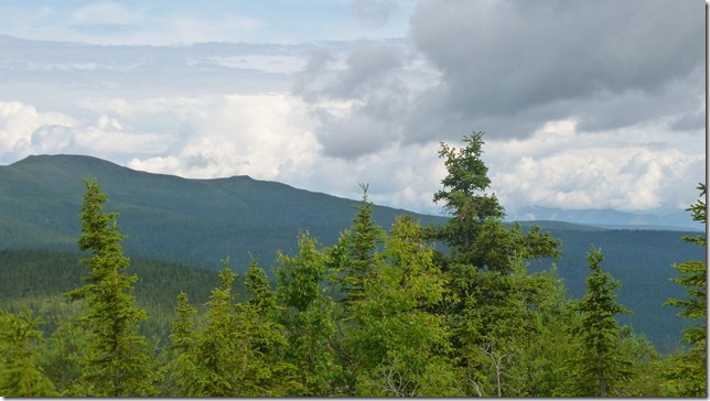 Alaska July 10 11 DC to Chicken (32)