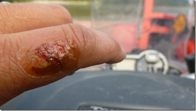 Alaska July 10 11 DC to Chicken (52)