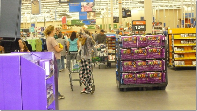 Alaska July 13 11 Chena Castle (6)