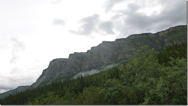 Alaska July 15 11 Wise to Dead (10)