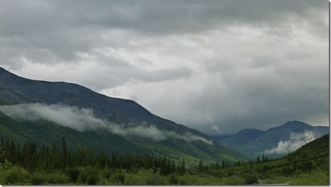 Alaska July 15 11 Wise to Dead (12)