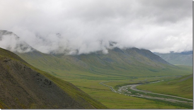 Alaska July 15 11 Wise to Dead (18)