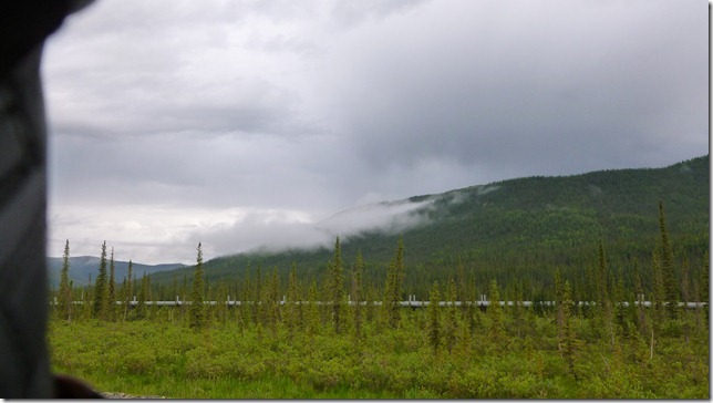 Alaska July 15 11 Wise to Dead (2)