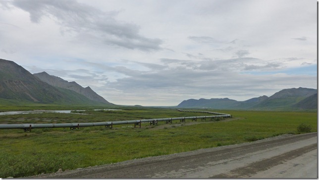 Alaska July 15 11 Wise to Dead (30)