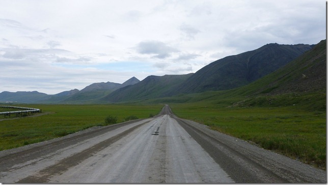 Alaska July 15 11 Wise to Dead (31)