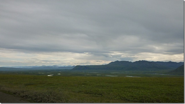 Alaska July 15 11 Wise to Dead (48)