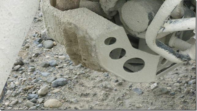 Alaska July 15 11 Wise to Dead (54)