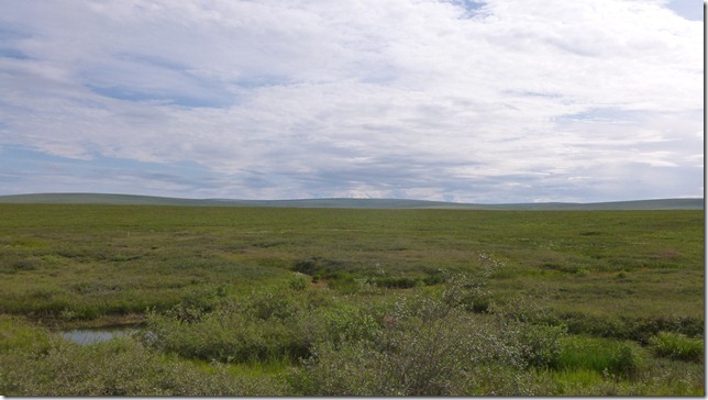 Alaska July 15 11 Wise to Dead (58)