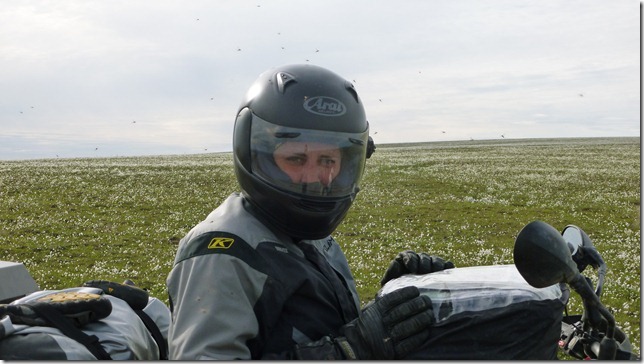 Alaska July 16 11 Dead to Fair (35)