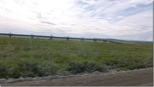 Alaska July 16 11 Dead to Fair (58)