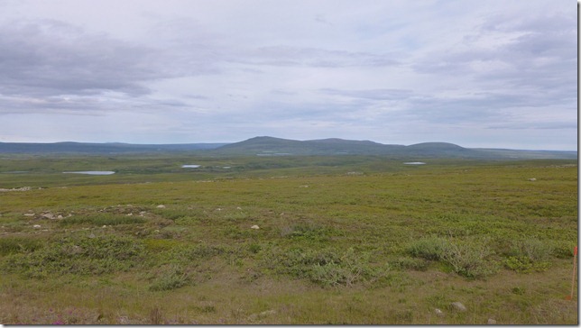 Alaska July 16 11 Dead to Fair (84)