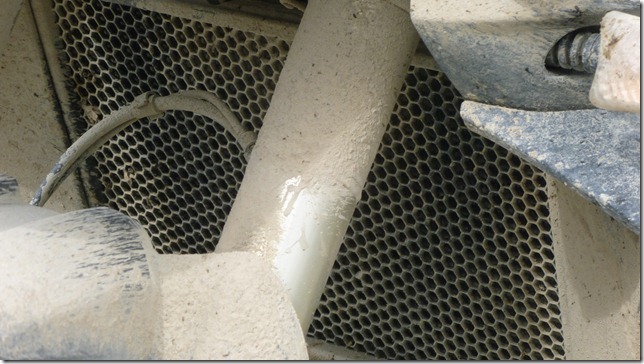 Alaska July 16 11 Dead to Fair (98)