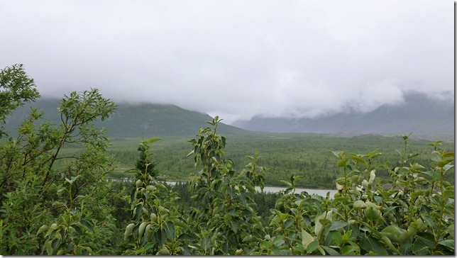 Alaska July 18 11 Fair to MacLaren River (12)