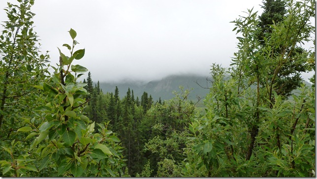 Alaska July 18 11 Fair to MacLaren River (13)