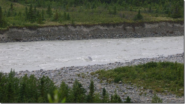 Alaska July 18 11 Fair to MacLaren River (14)