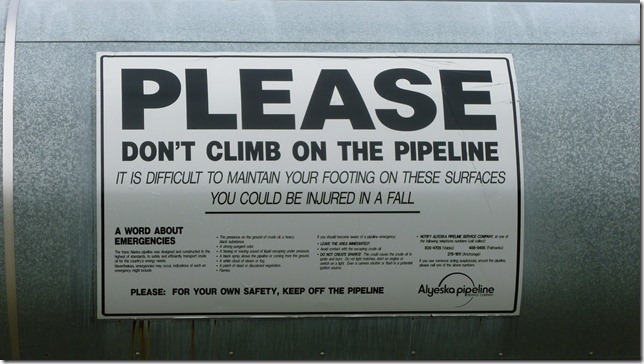 Alaska July 18 11 Fair to MacLaren River (18)