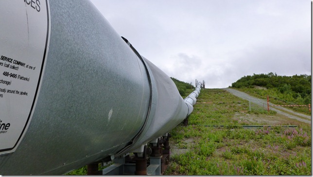 Alaska July 18 11 Fair to MacLaren River (19)