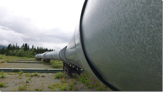 Alaska July 18 11 Fair to MacLaren River (20)