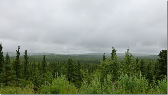 Alaska July 18 11 Fair to MacLaren River (7)