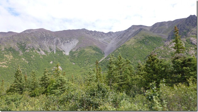 Alaska July 19 11 Maclaren to Talkeetna (19)