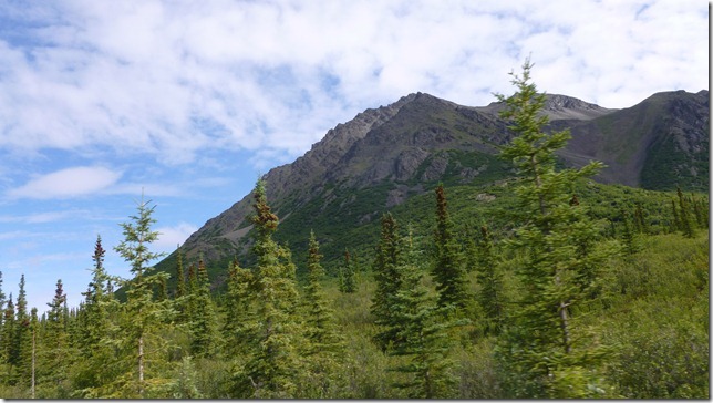 Alaska July 19 11 Maclaren to Talkeetna (22)