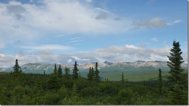 Alaska July 19 11 Maclaren to Talkeetna (54)
