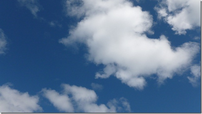 Alaska July 19 11 Maclaren to Talkeetna (60)