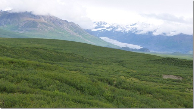 Alaska July 19 11 Maclaren to Talkeetna (96)