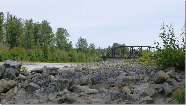 Alaska July 20 11 Talkeetna to Anch (138)