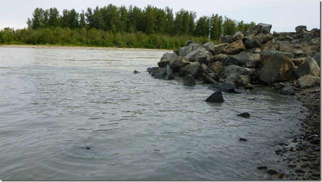 Alaska July 20 11 Talkeetna to Anch (1)