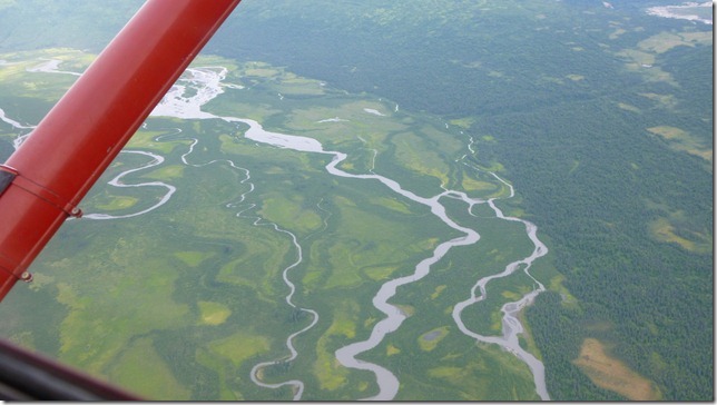 Alaska July 20 11 Talkeetna to Anch (31)
