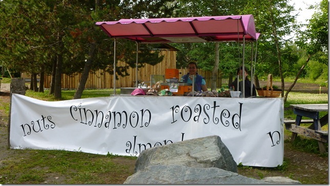 Alaska July 20 11 Talkeetna to Anch (7)