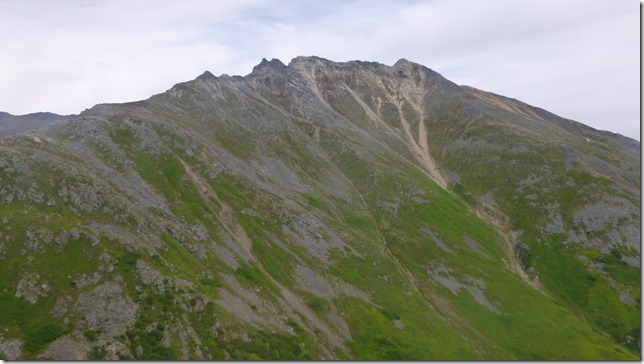 Alaska July 20 11 Talkeetna to Anch (98)