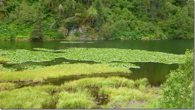 Alaska July 24 11 Anch to Homer Spit (21)