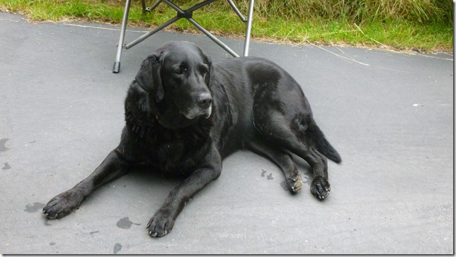 Alaska July 24 11 Anch to Homer Spit (2)