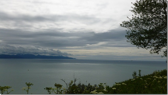 Alaska July 24 11 Anch to Homer Spit (33)