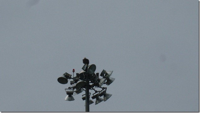 Alaska July 24 11 Anch to Homer Spit (76)