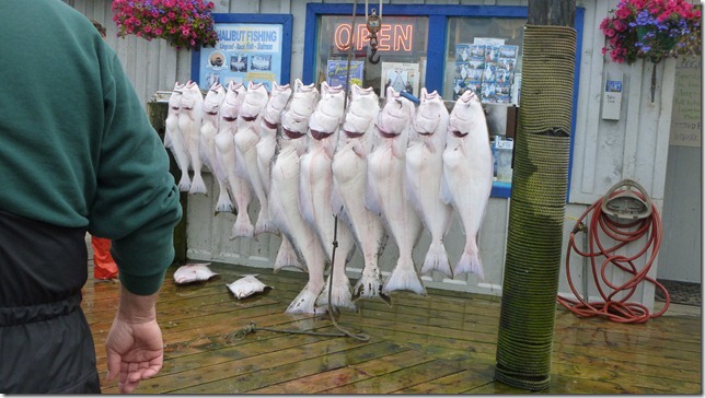 Alaska July 24 11 Anch to Homer Spit (78)