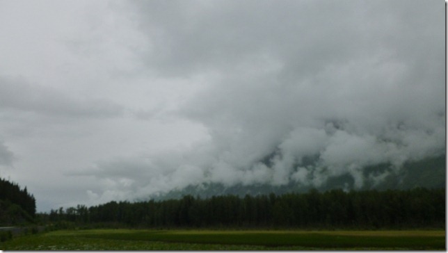 Alaska July 25 11 Homer to Seward (1)