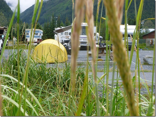 Alaska July 25 11 Homer to Seward (29)