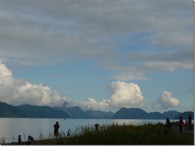 Alaska July 25 11 Homer to Seward (31)