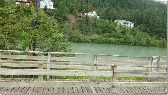 Alaska July 25 11 Homer to Seward (7)