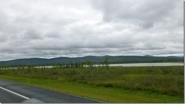 Alaska July 29 11 Tok to Haines Junction (16)