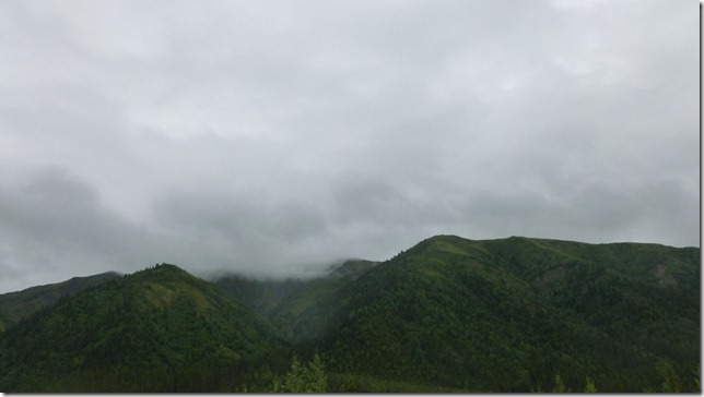 Alaska July 29 11 Tok to Haines Junction (26)