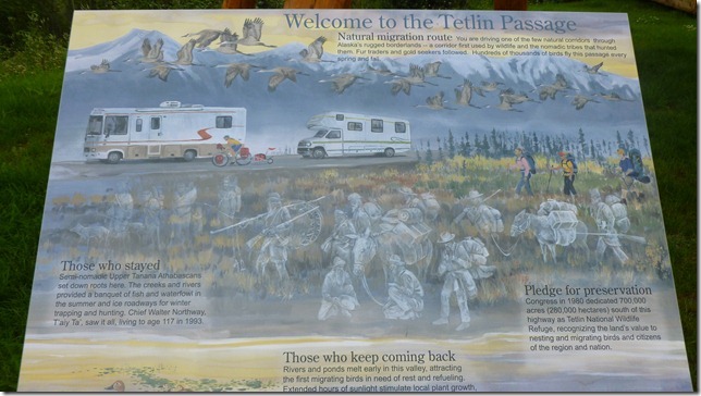 Alaska July 29 11 Tok to Haines Junction (2)