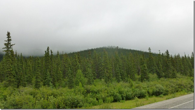 Alaska July 29 11 Tok to Haines Junction (37)